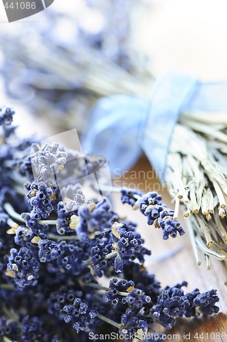 Image of Dried lavender