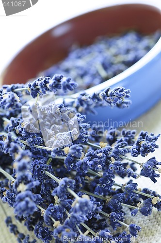 Image of Dried lavender