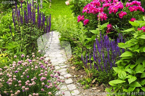 Image of Path in blooming garden