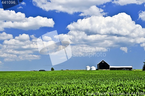 Image of Rural landscape