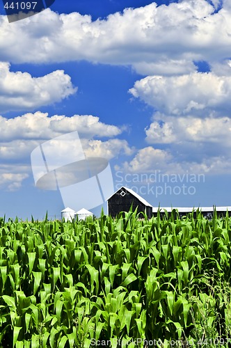 Image of Rural landscape