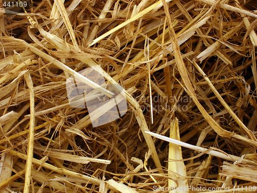 Image of straw