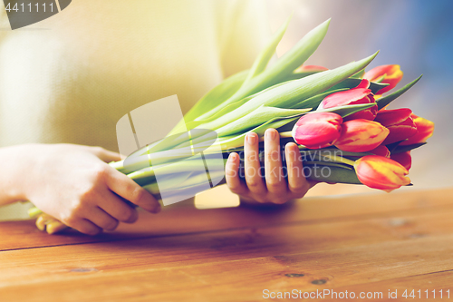 Image of close up of woman holding tulip flowers