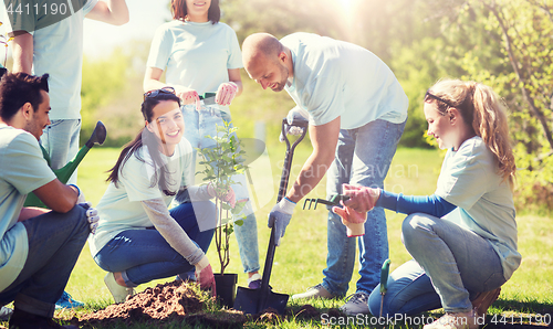 Image of group of volunteers planting tree in park