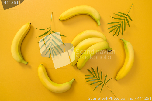 Image of Bananas and palm leaves on yellow background