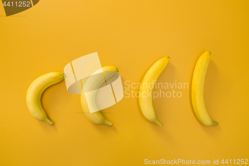 Image of Bananas illustrating evolution theory