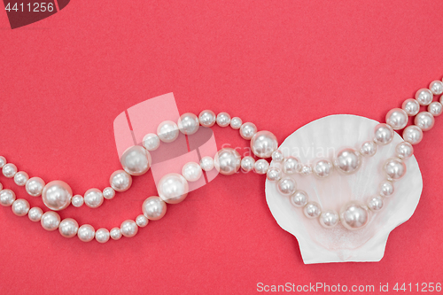 Image of Pearl necklace and seashell on pink background