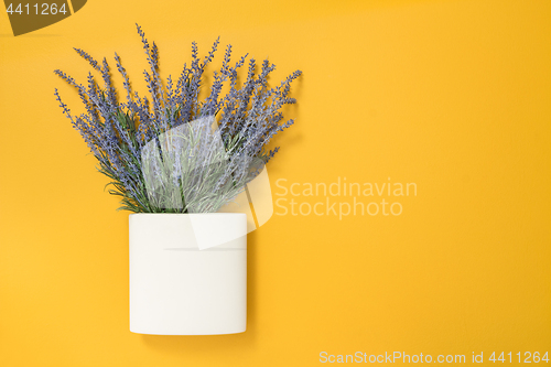 Image of Blue lavender in square white vase