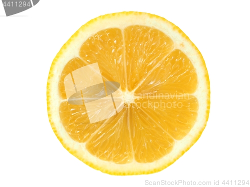 Image of Lemon slice on white