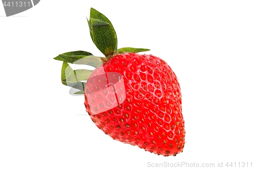Image of Strawberry on white
