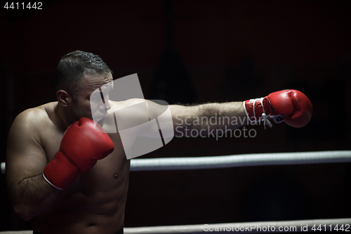 Image of professional kickboxer in the training ring