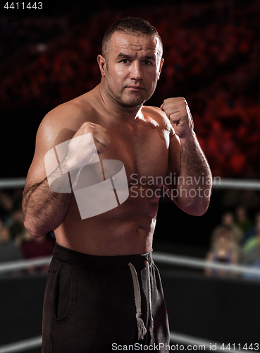 Image of professional kickboxer in the training ring