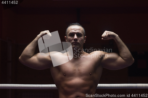 Image of portrait of muscular professional kickboxer