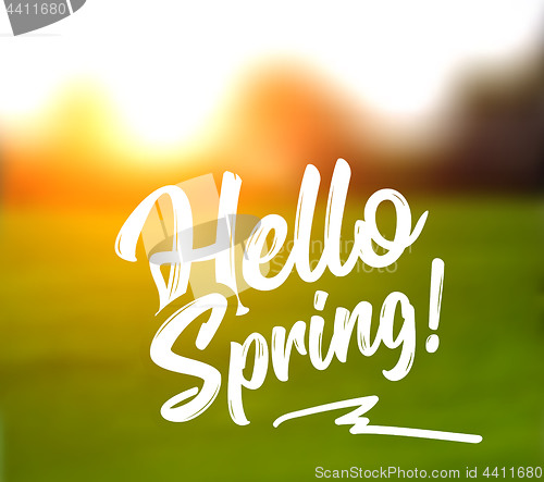 Image of Text message hello spring, against a background of a spring landscape