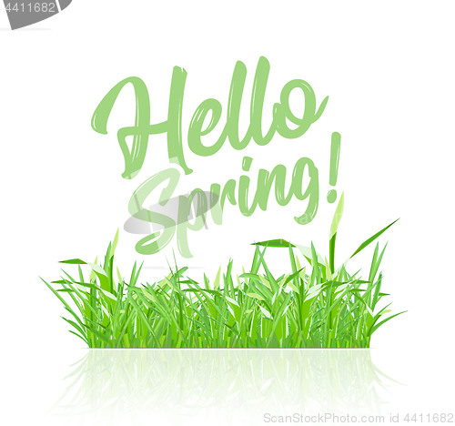 Image of Text message hello spring, on a background of spring grass on a white background