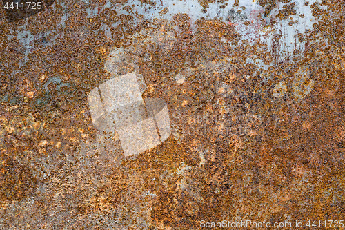 Image of Rusted metal background