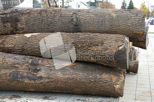 Image of Log Wood