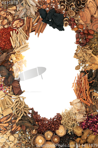 Image of Chinese Herbal Medicine Border