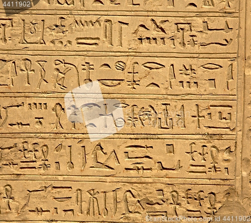 Image of Ancient Hieroglyphic Script