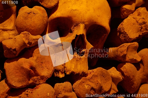 Image of Skulls and bones in a wall