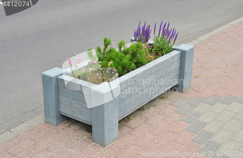 Image of City flowerbed