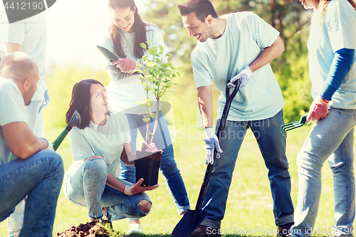 Image of group of volunteers planting tree in park