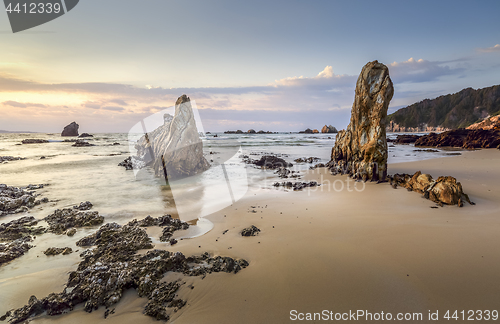 Image of South Coast NSW early morning light on the beach