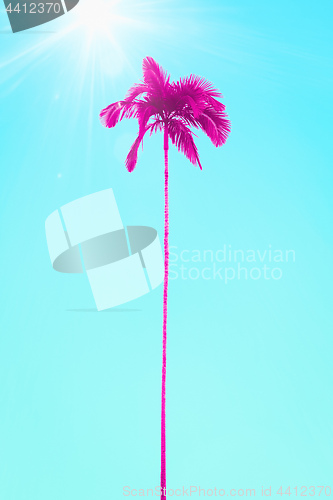 Image of pink palm tree