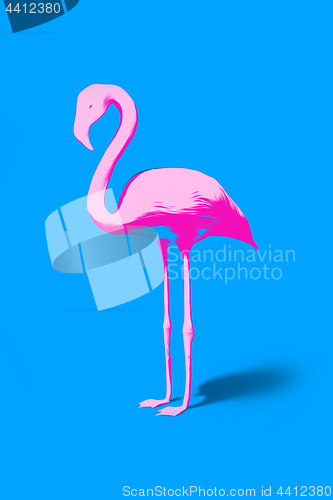 Image of pink flamingo on turquoise background
