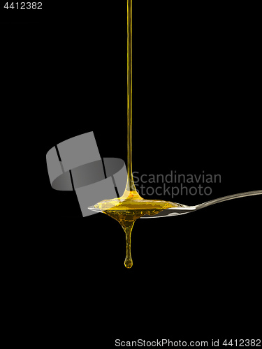 Image of a spoon full of golden honey