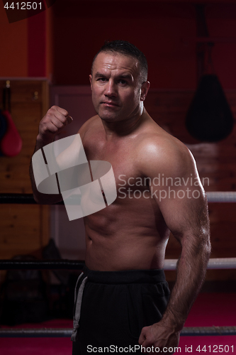 Image of professional kickboxer in the training ring