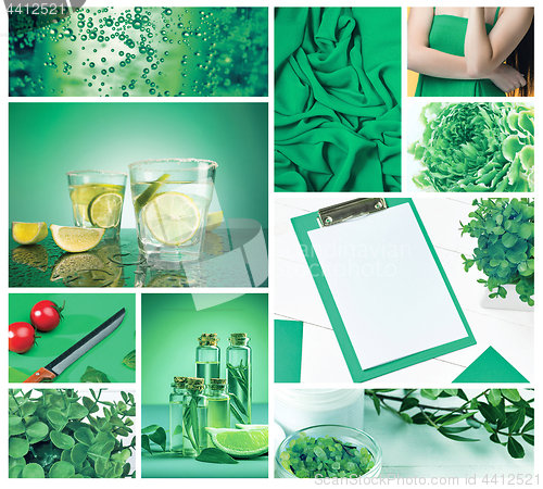 Image of Trendy color concept. Set with greenery color