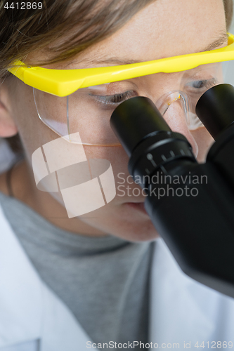 Image of Scientist looking through a microscope