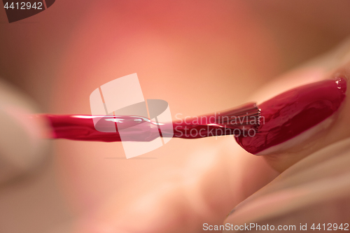 Image of Woman hands receiving a manicure