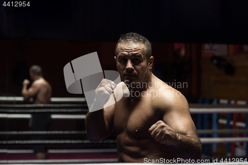 Image of professional kickboxer in the training ring