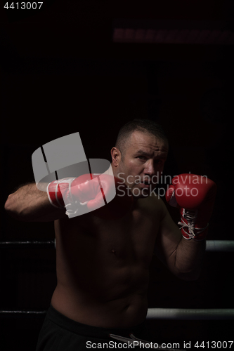 Image of professional kickboxer in the training ring