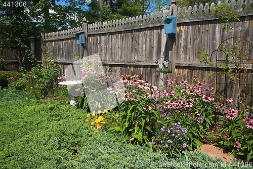 Image of Bird Friendly Garden