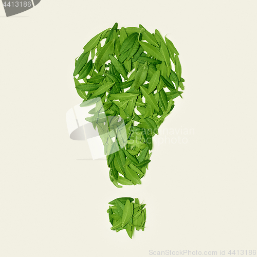 Image of The green dry tea leaf, sign on white background, top view