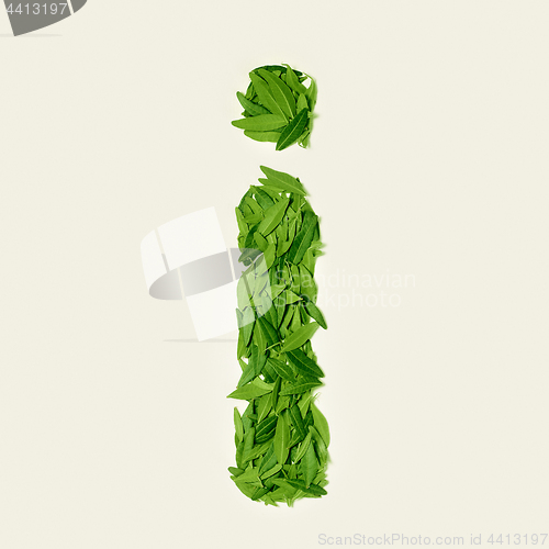 Image of The green dry tea leaf, letter I on white background, top view