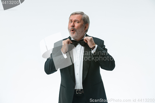 Image of older businessman in a suit with a bow tie, isolated over white