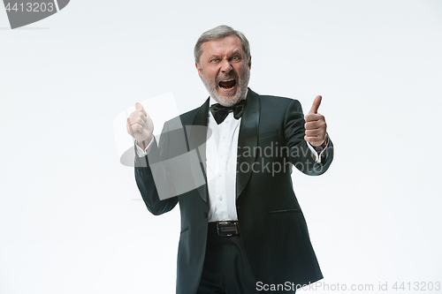 Image of older businessman in a suit with a bow tie, isolated over white