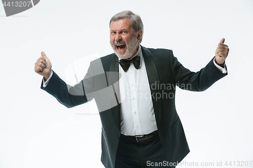 Image of older businessman in a suit with a bow tie, isolated over white