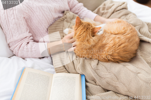 Image of close up of owner stroking red cat in bed at home