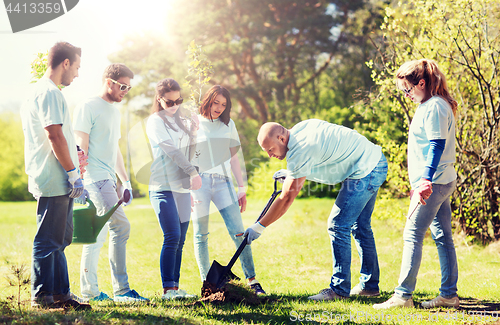 Image of group of volunteers planting tree in park