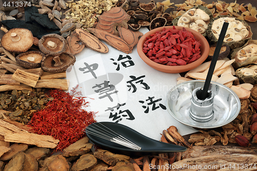 Image of Chinese Acupuncture and Herbal Therapy