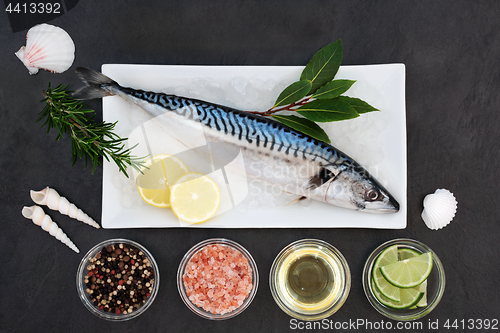 Image of Mackerel on Crushed Ice