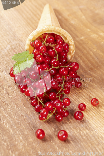 Image of Red currant fruits in ice cream cone 