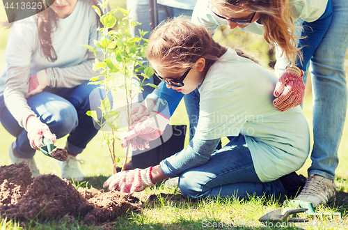 Image of group of volunteers planting tree in park