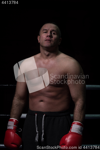 Image of portrait of muscular professional kickboxer