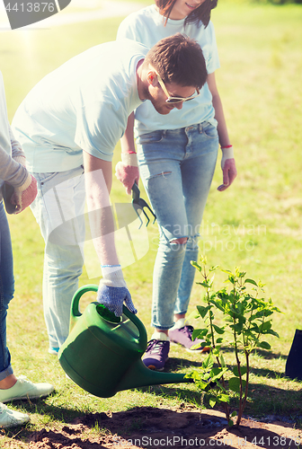 Image of group of volunteers planting and watering tree